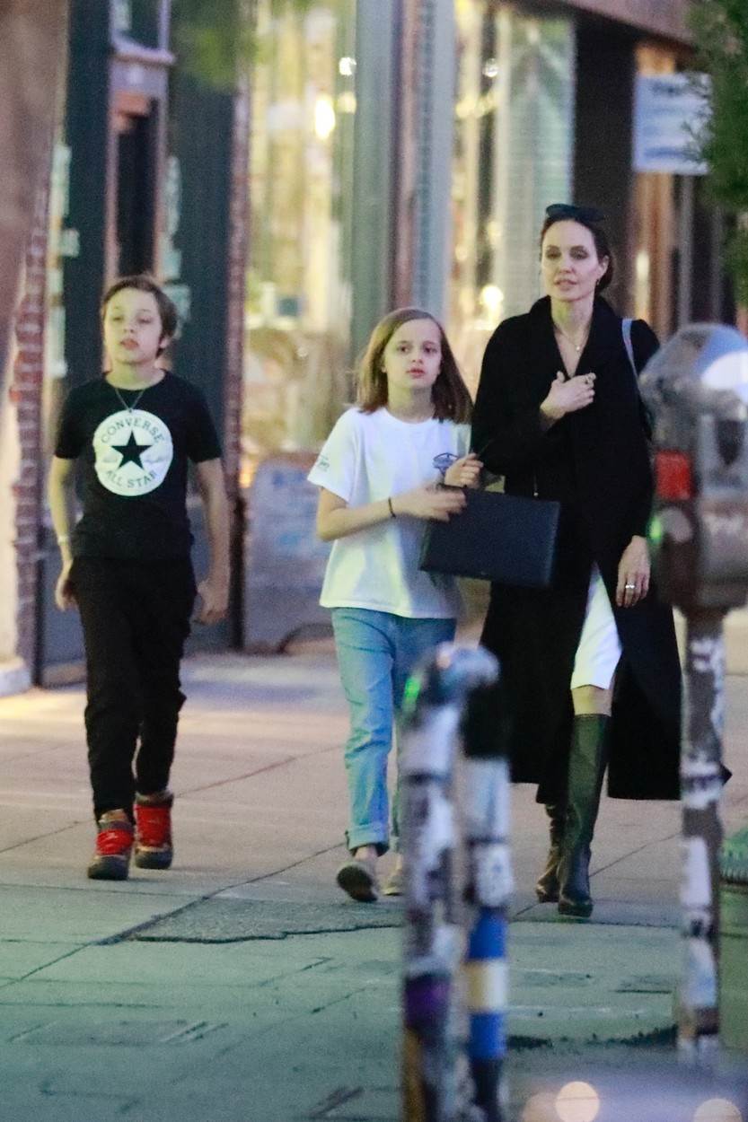 Angelina Jolie s blizancima Vivienne Jolie Pitt i Knoxom Jolie Pittom