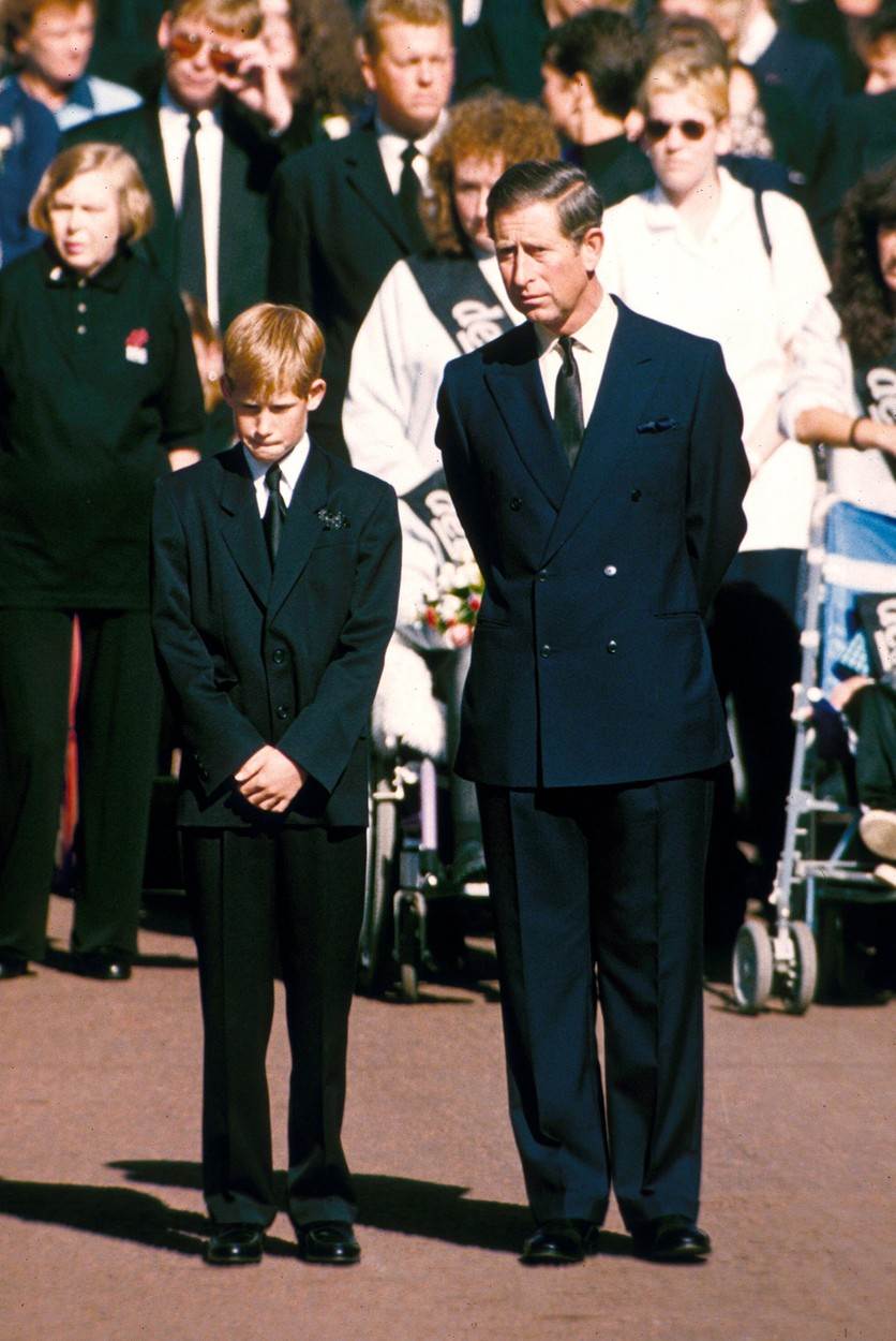 Princ Harry i princ Charles na sprovodu Lady Di