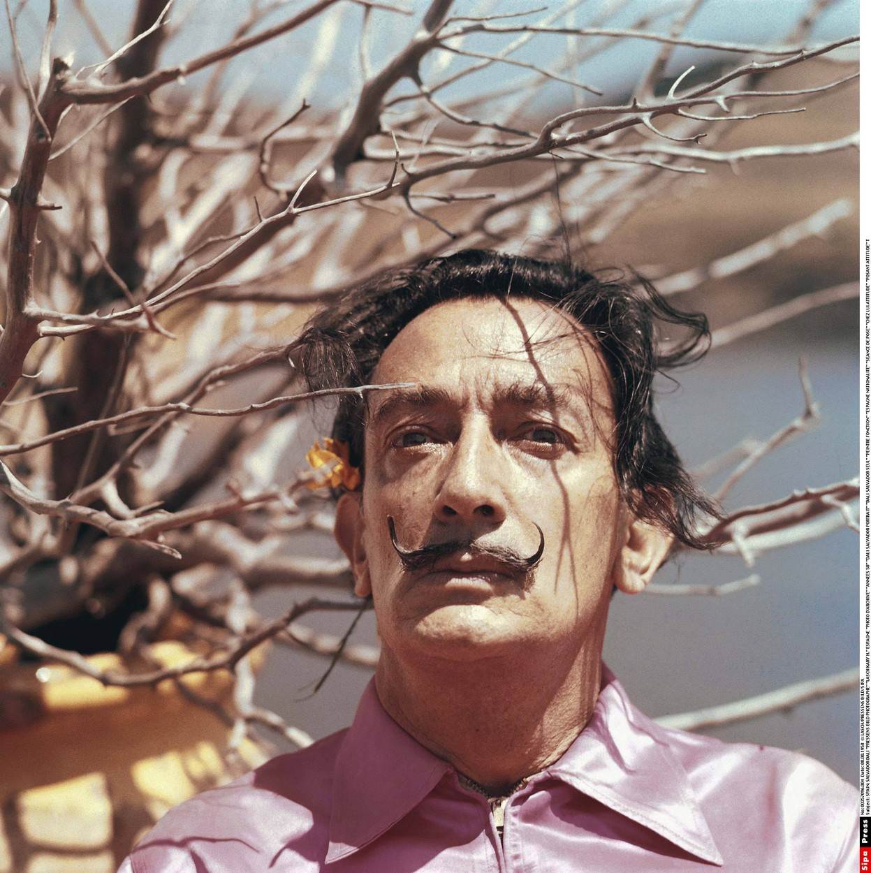 Salvador Dali bio je španjolski umjetnik kojeg su nazivali ludim