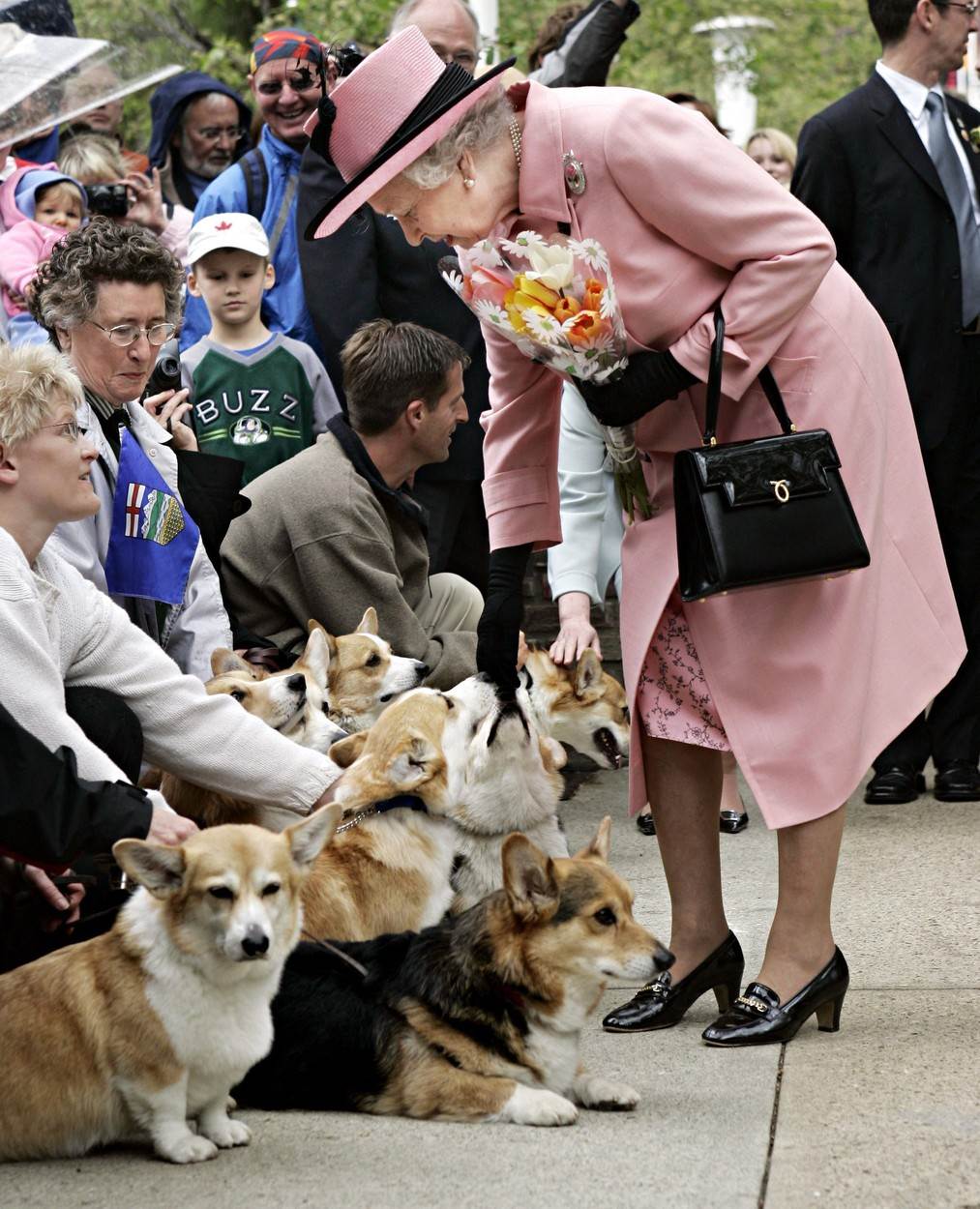Kraljica Elizabeta voljela je pse korgije
