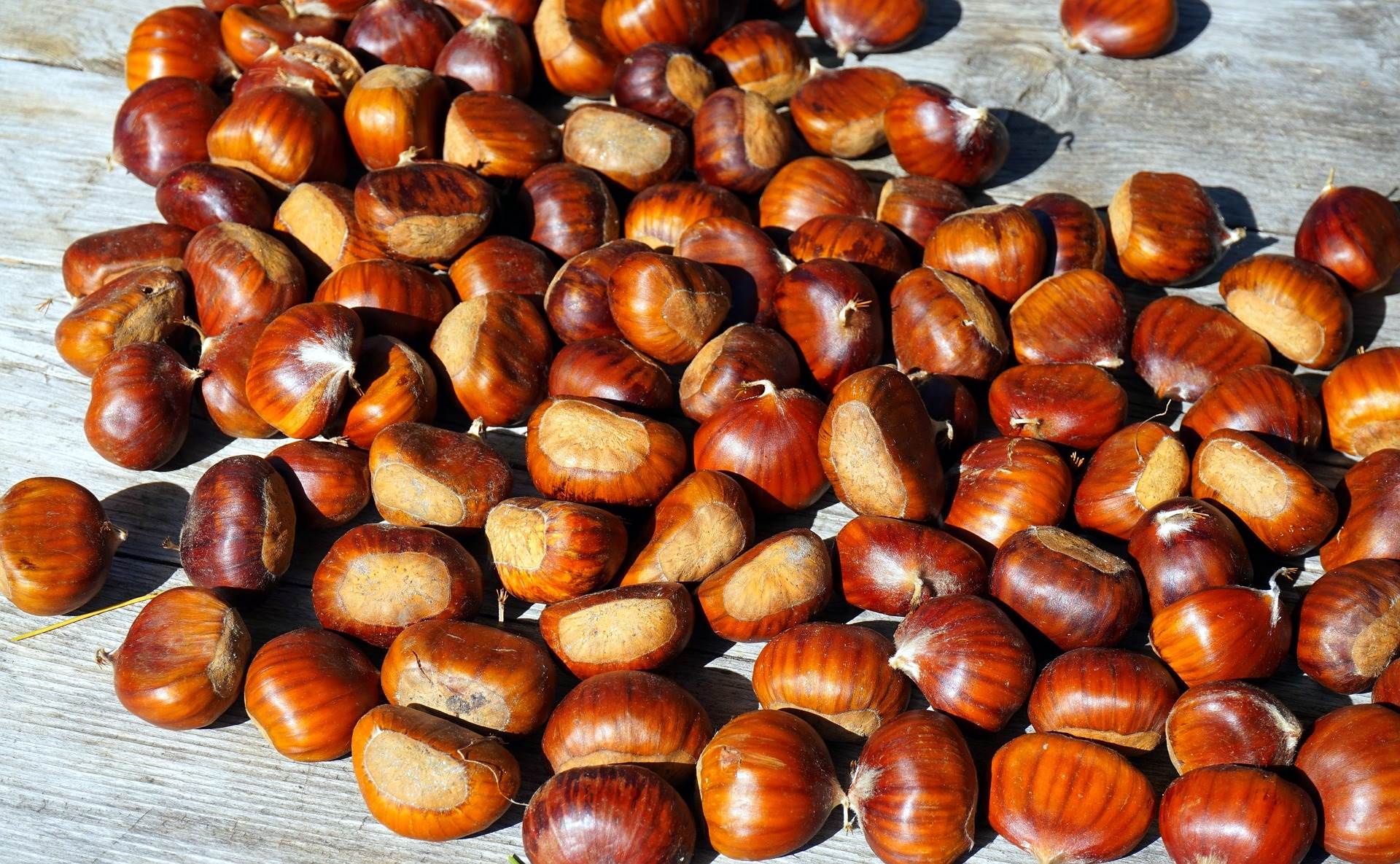 chestnuts-gc0f0d6654_1920.jpg