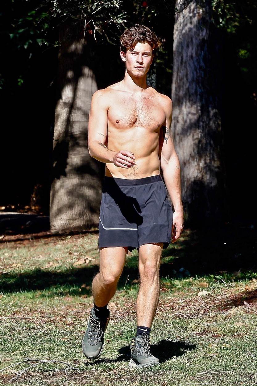 Shawn Mendes voli vježbati