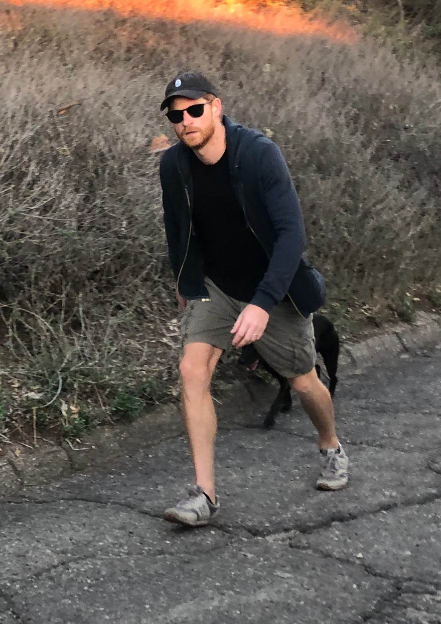Princ Harry šeta psa
