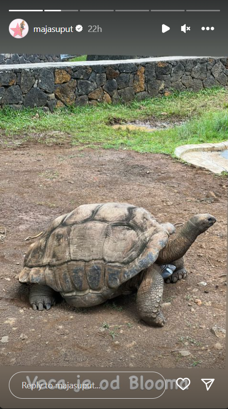 Bloom Tatarinov pozirao s kornjačom na Mauricijusu