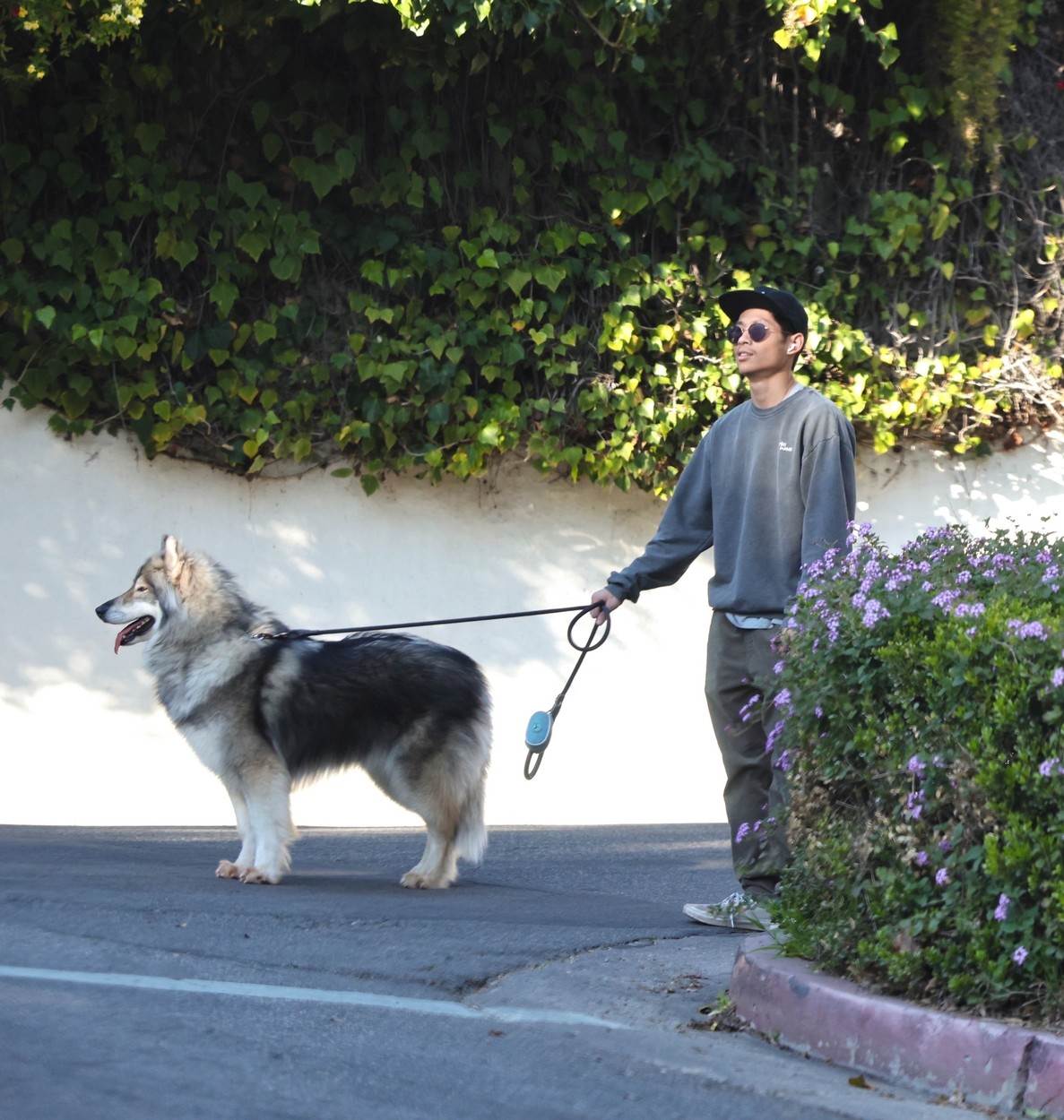 Pax Thien Jolie-Pitt u šetnji s psom