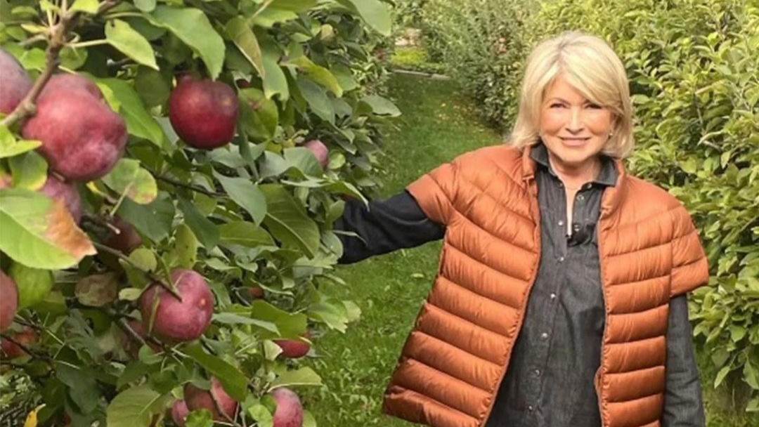 Martha Stewart nema bora u 81. godini