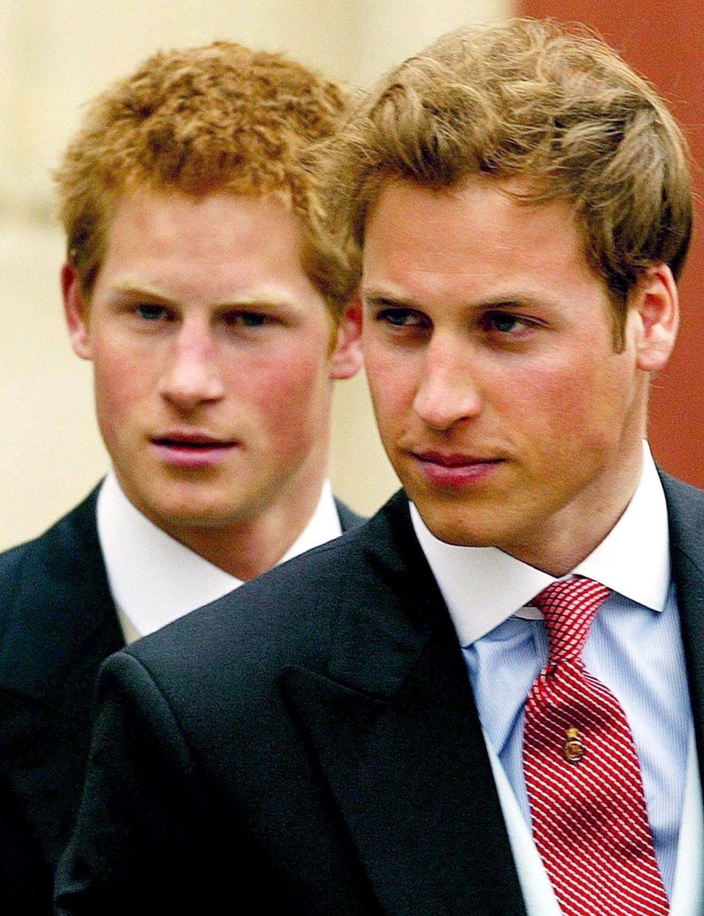 Princ Harry i princ William o princezi Diani