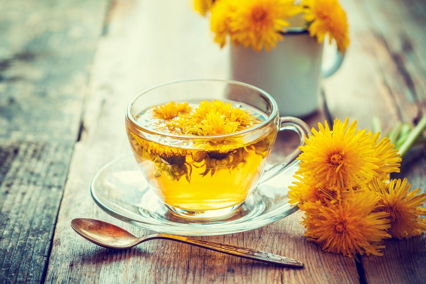Čaj od korijena maslačka dobar je za zdravlje