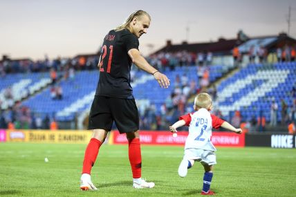 Domagoj Vida, David Vida