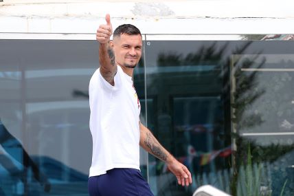 Dejan Lovren