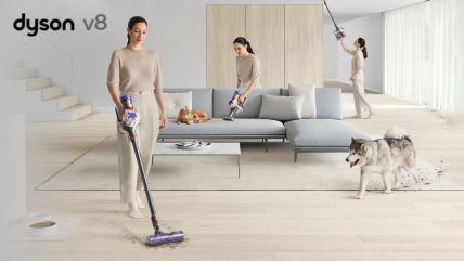 Dyson V8.jpg