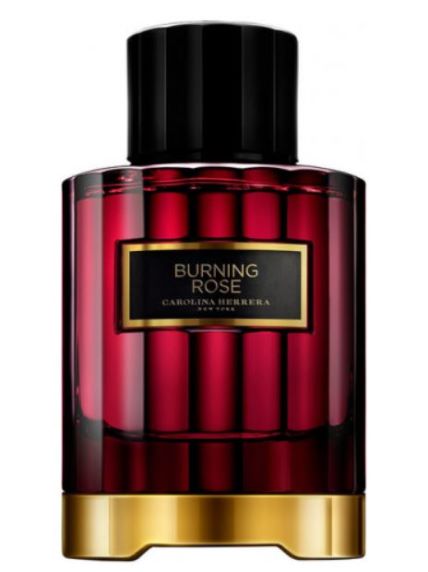 Burning rose, Carolina Herrera