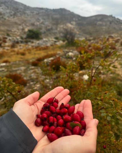 Marijana Batinić na planinarenju