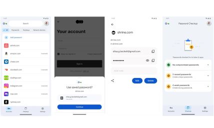 Google Password Manager.jpg