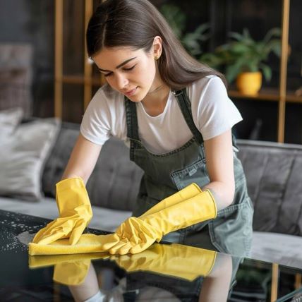 Vancouver Cleaning Service.jpg