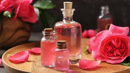 Ulje divlje ruže.jpg