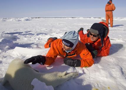 Paul McCartney Heather Mills