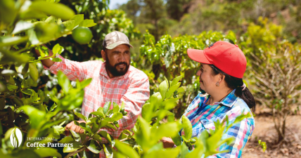 ICP_Coffee Farming Honduras_Couple.png