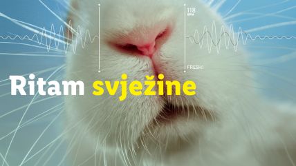 Ritam svježine - Lidl testira svježinu kroz kreativnu kampanju na društvenim mrežama.jpg