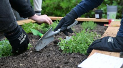 Sezonalnost je još jedan ključni čimbenik.jpg