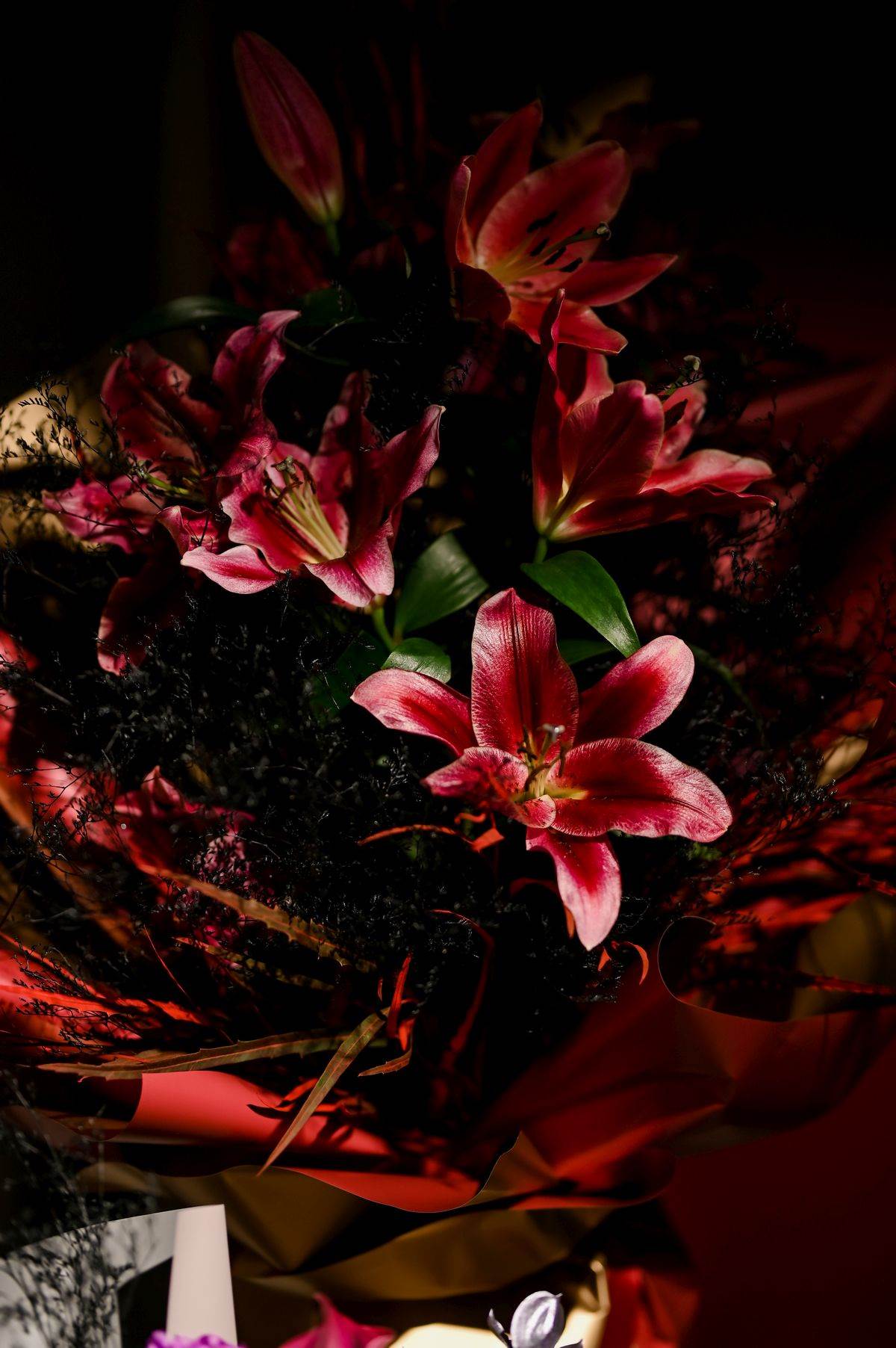 Dobar partner - Ira_RG (25).JPG