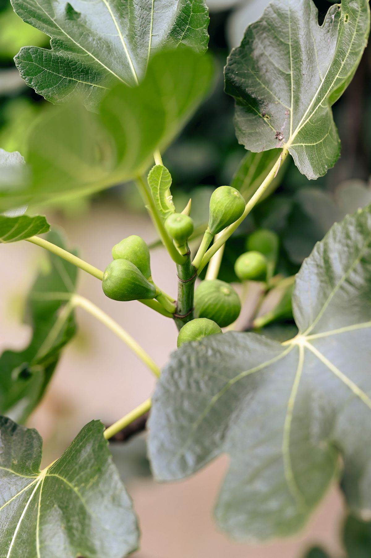 Ksenija Urlicic_RG (24).JPG