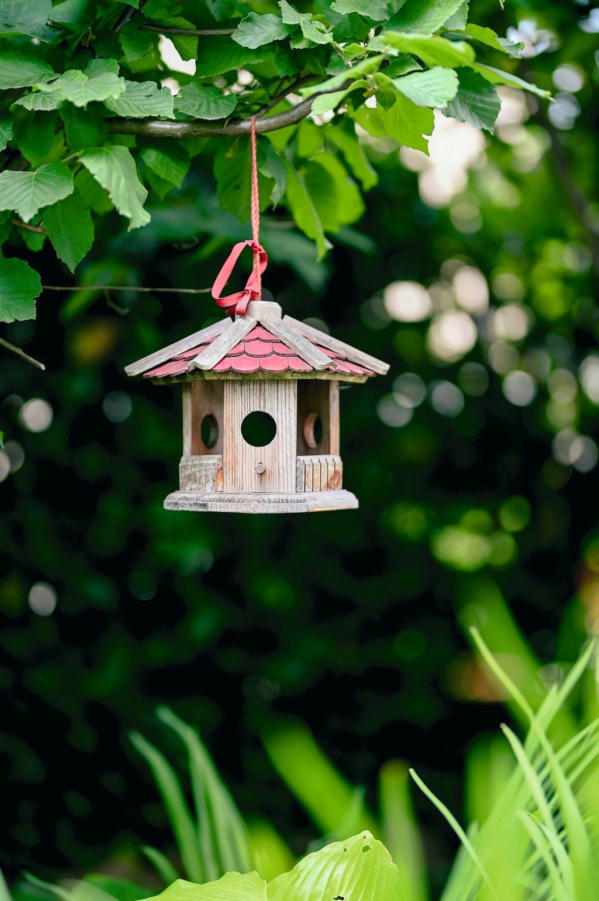 Ksenija Urlicic_RG (26).JPG