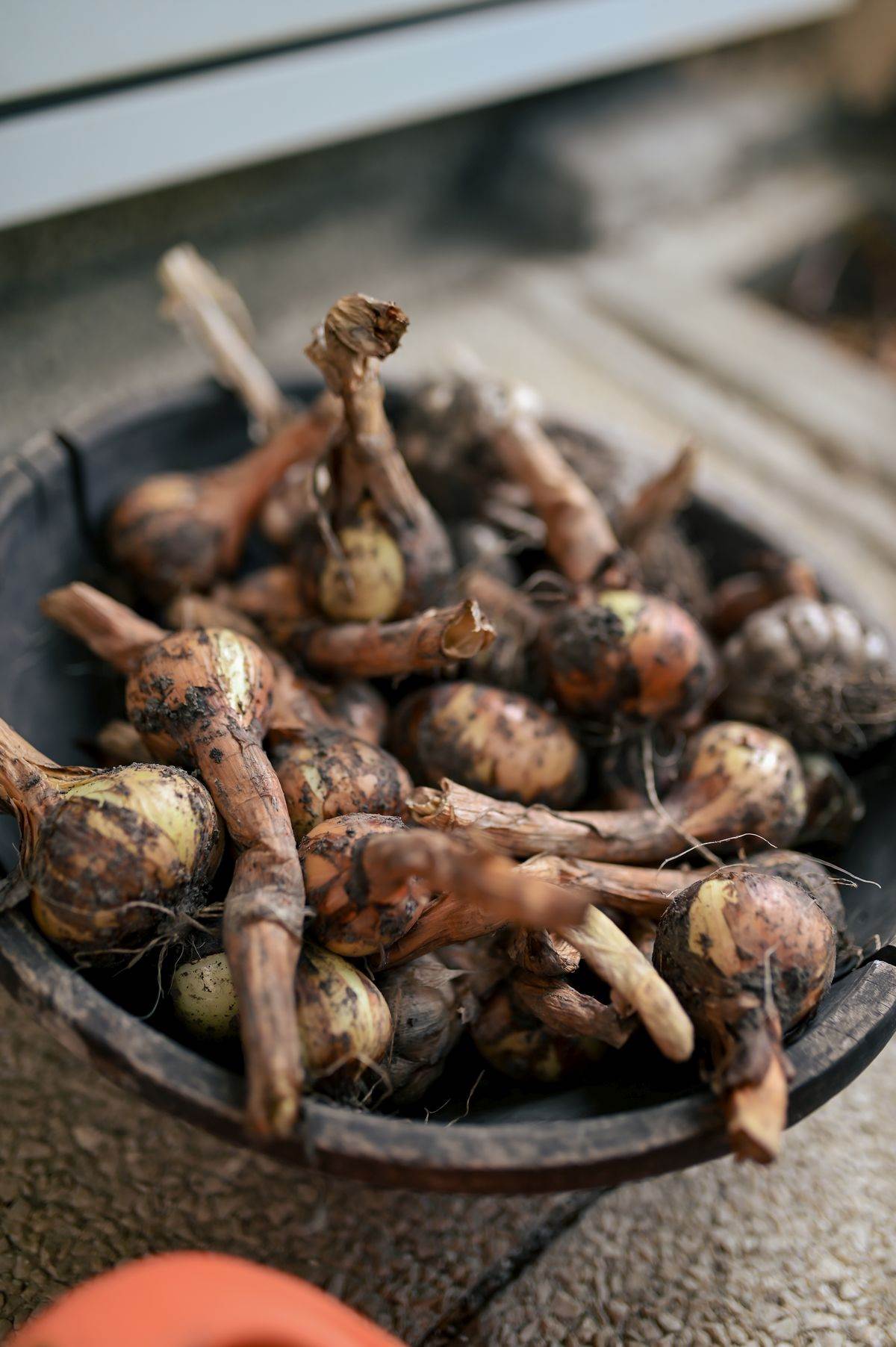 Ksenija Urlicic_RG (27).JPG