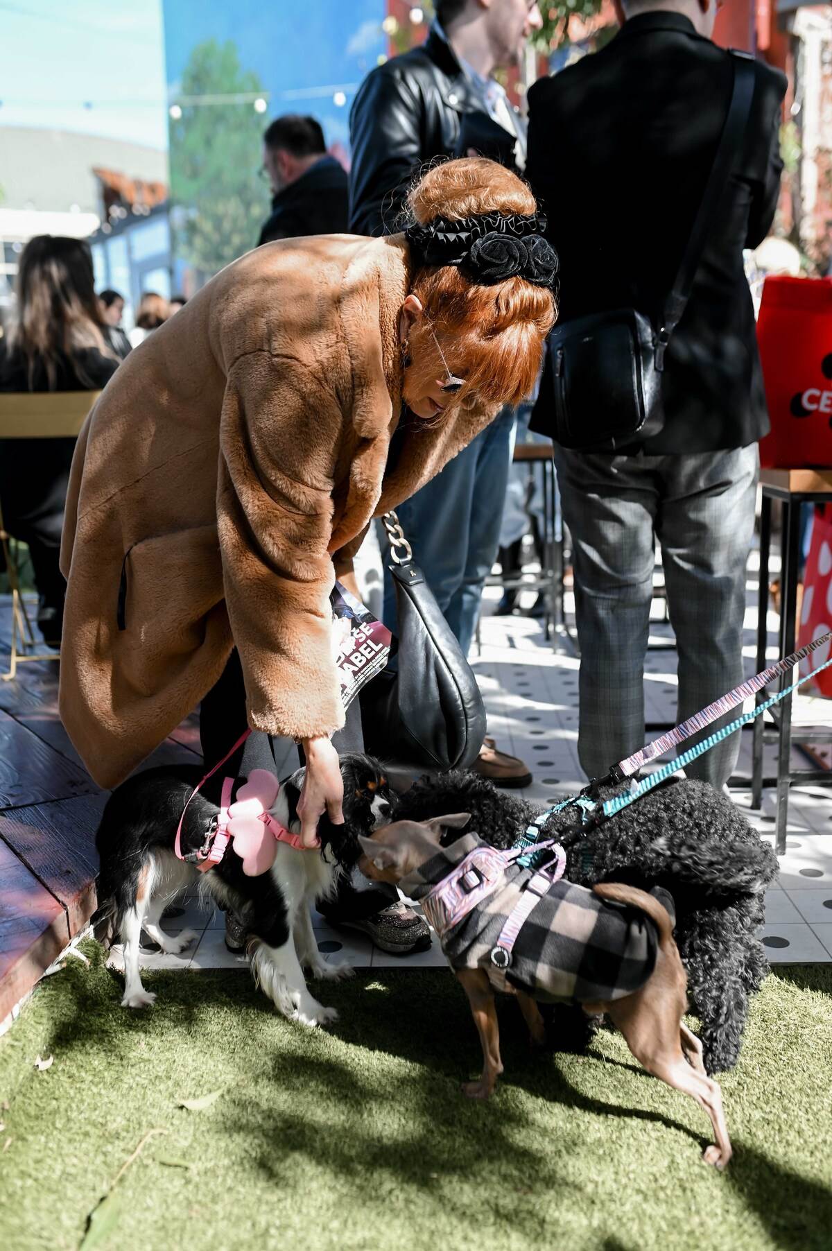 Pet Kult X Story - web_RG (126).jpg