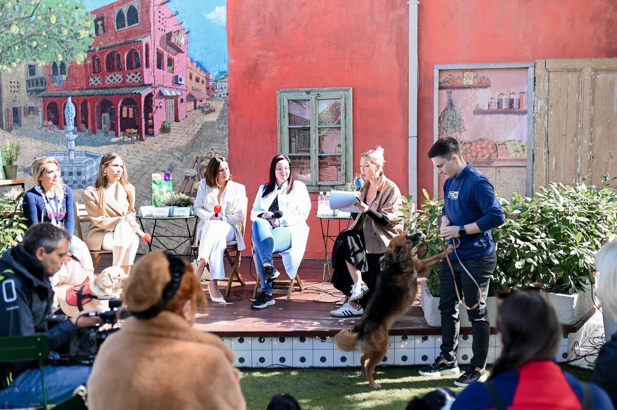 Pet Kult X Story - web_RG (105).jpg