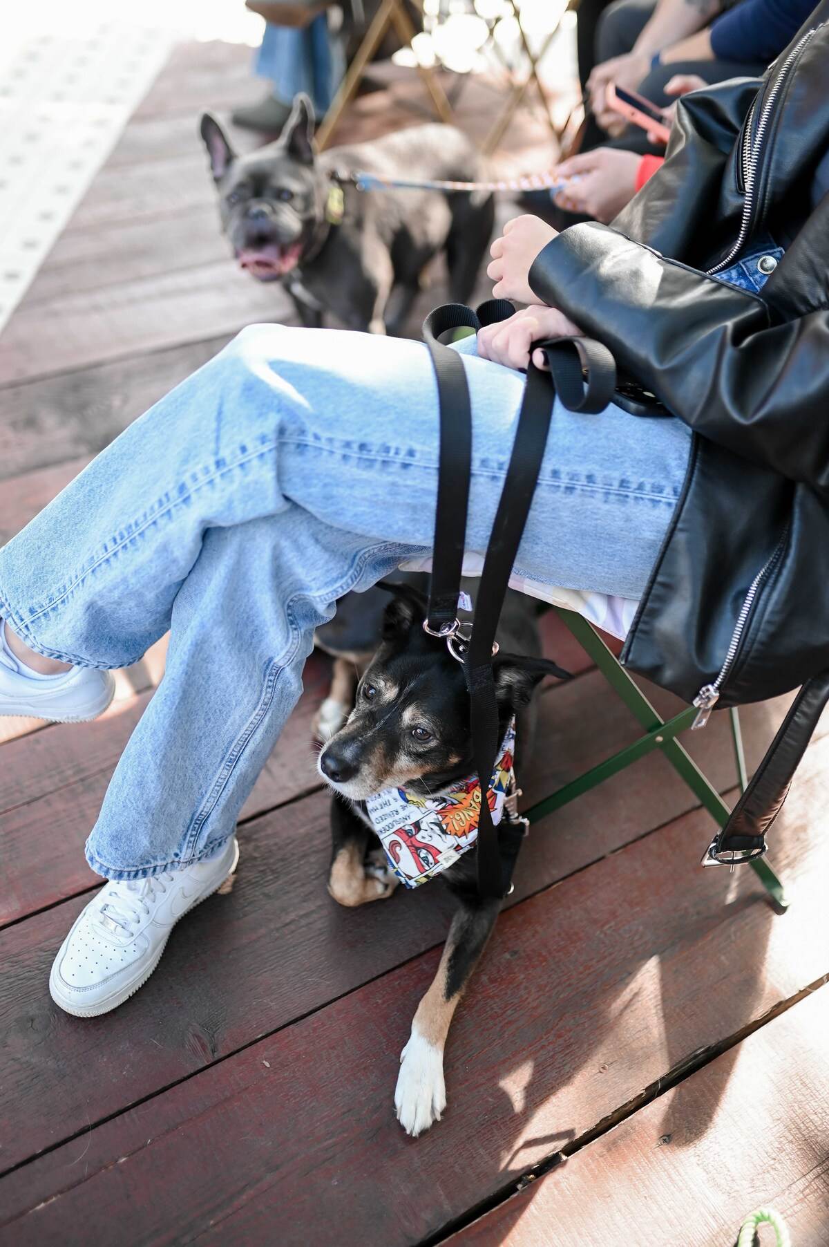 Pet Kult X Story - web_RG (104).jpg