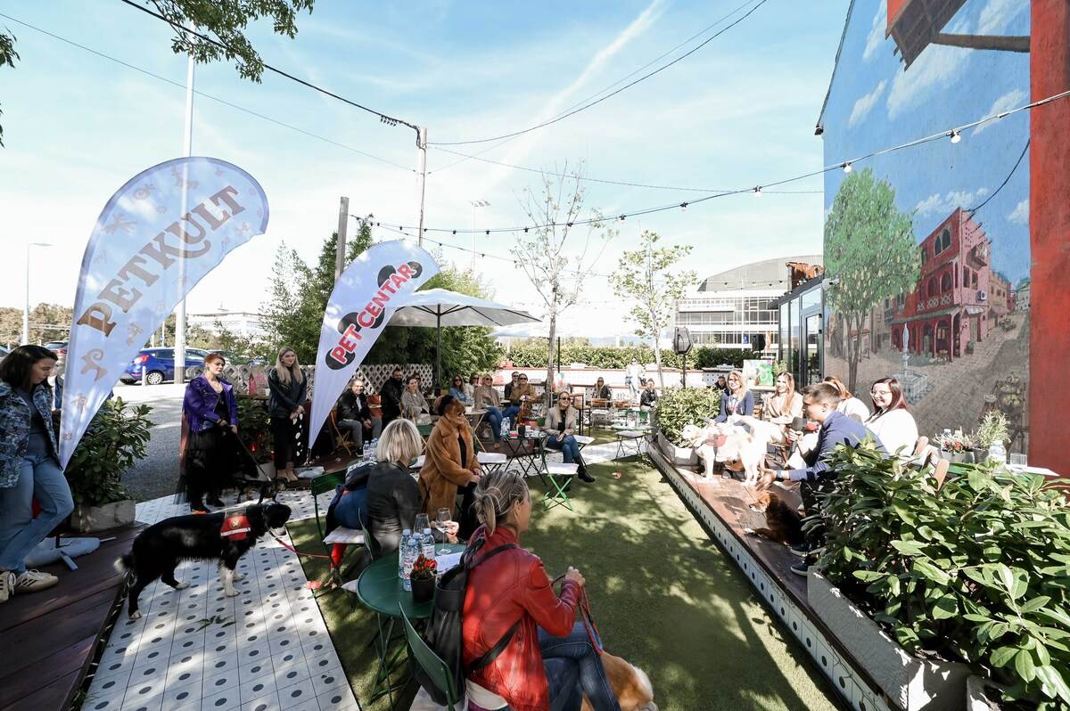 Pet Kult X Story - web_RG (117).jpg