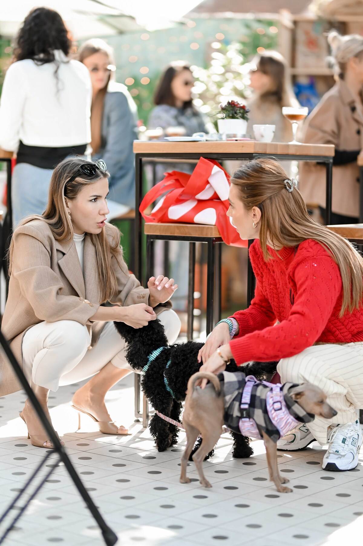 Pet Kult X Story - web_RG (173).jpg