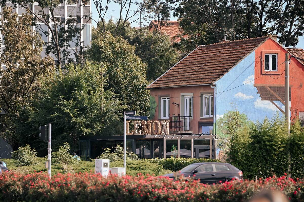 Pet Kult X Story - web_RG (176).jpg