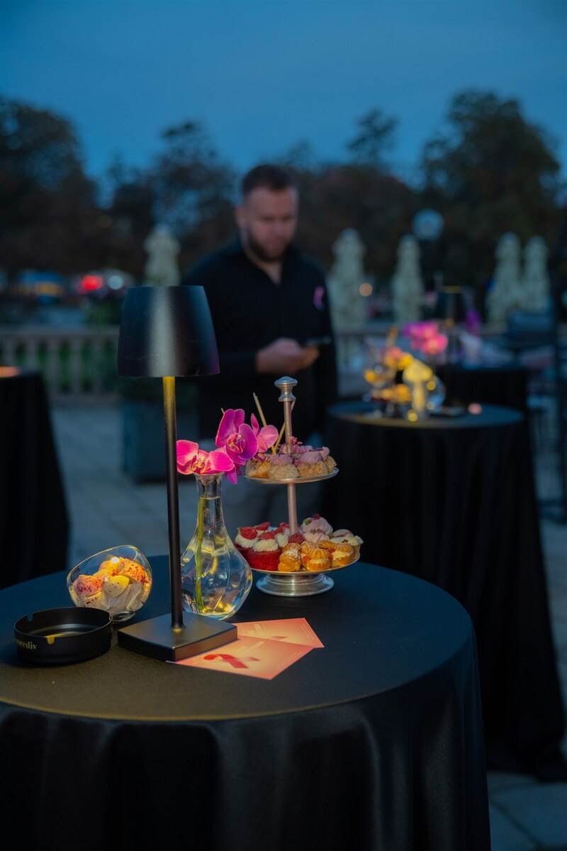 Mjesec ruzicaste vrpce - osvjetljavanje hotela Esplanade 2024 - fotograf Zlatko Prkacin (47).jpg