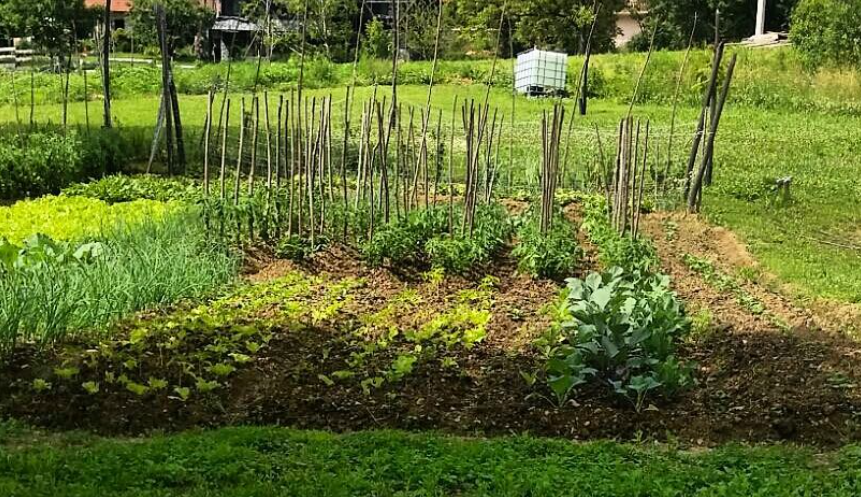 Marija Borić Jerneić