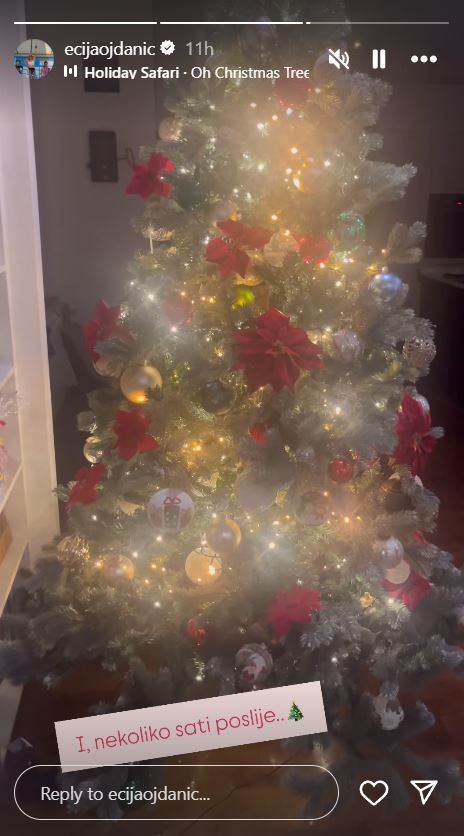 Ecija Ojdanić pokazala božićno drvce