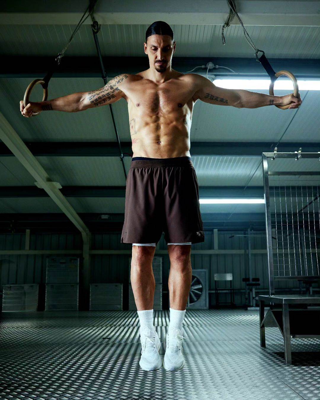 Koju fotografiju ima Zlatan Ibrahimovic u svom domu?