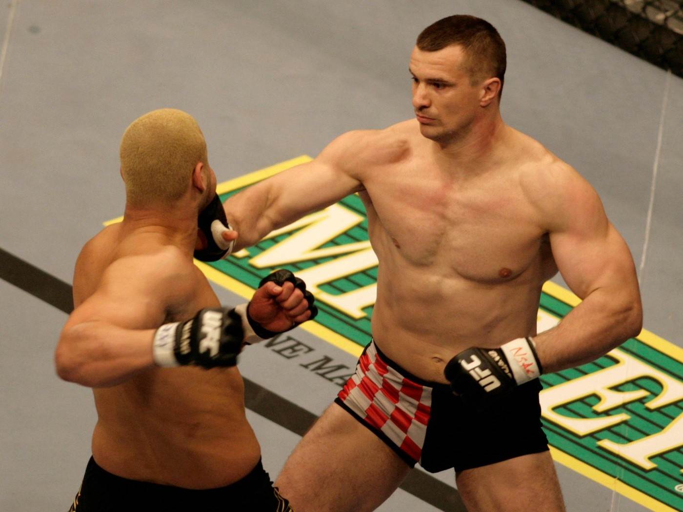 Mirko Filipović (10).jpg