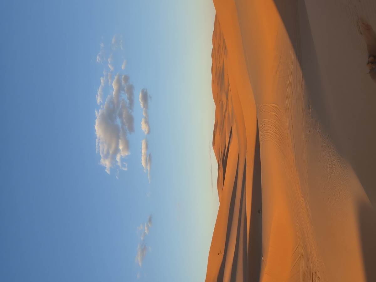 20250220_184913 - Copy.jpg