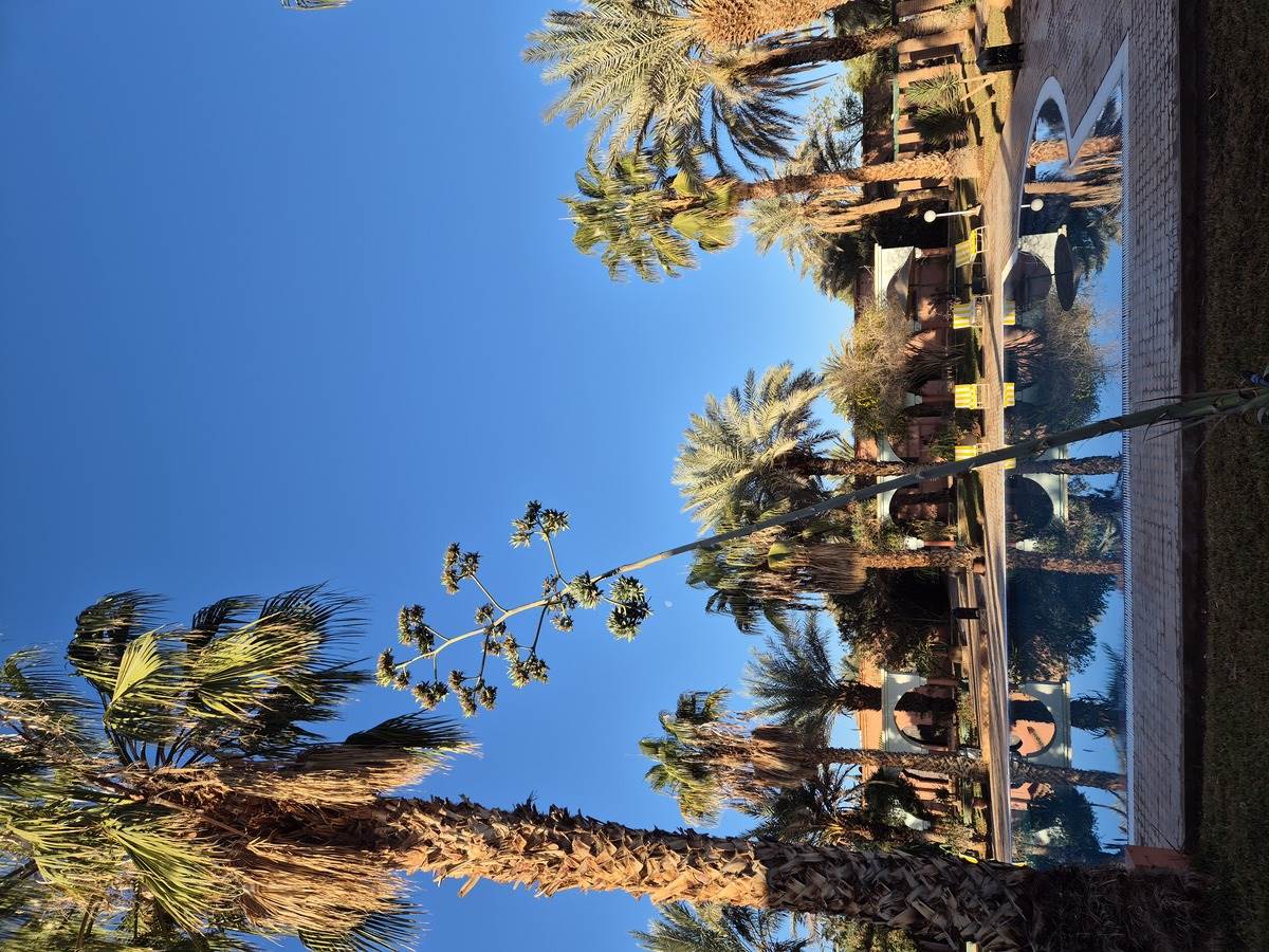 1000047885 - Copy.jpg