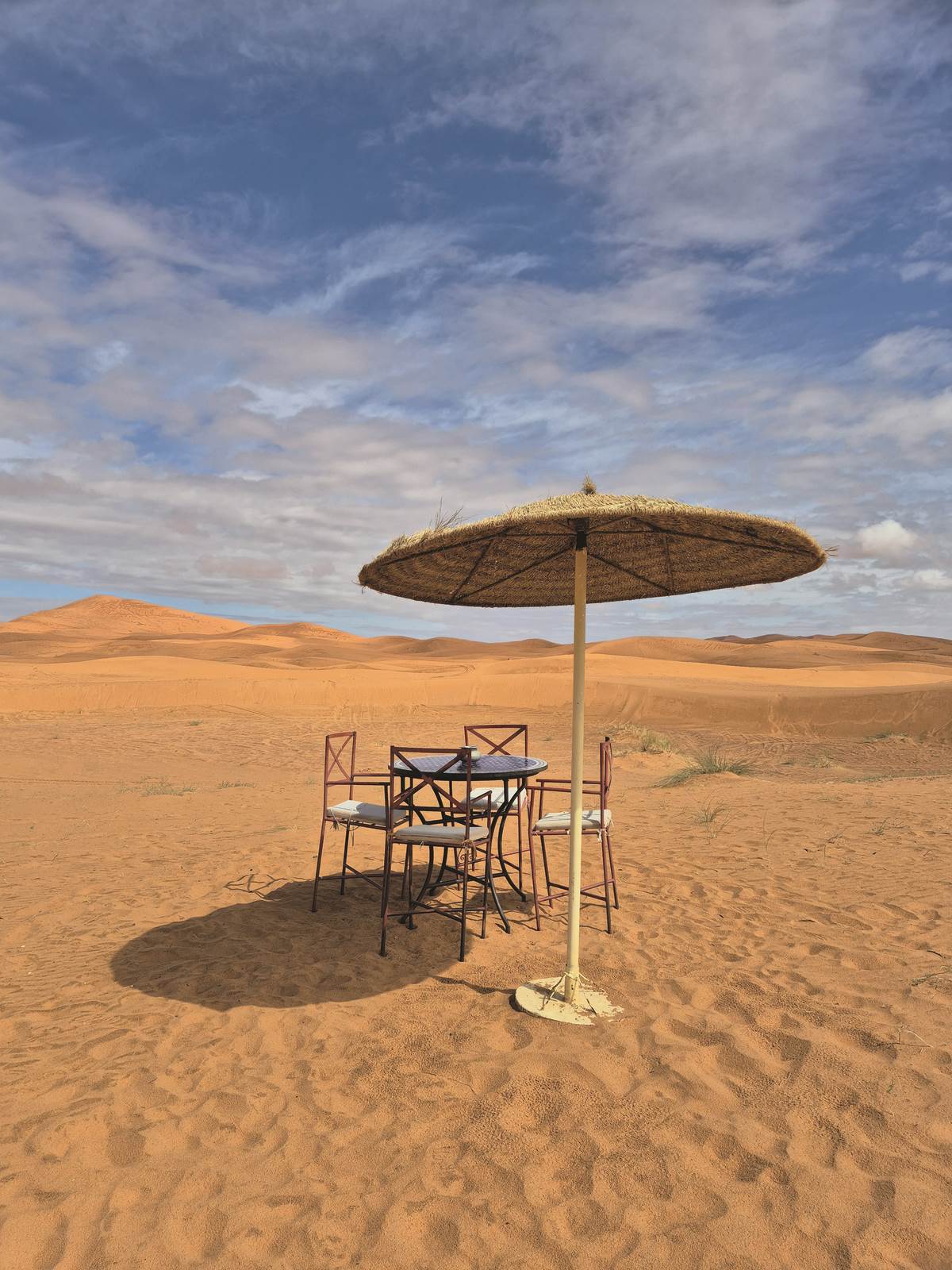 1000049828 - Copy.jpg