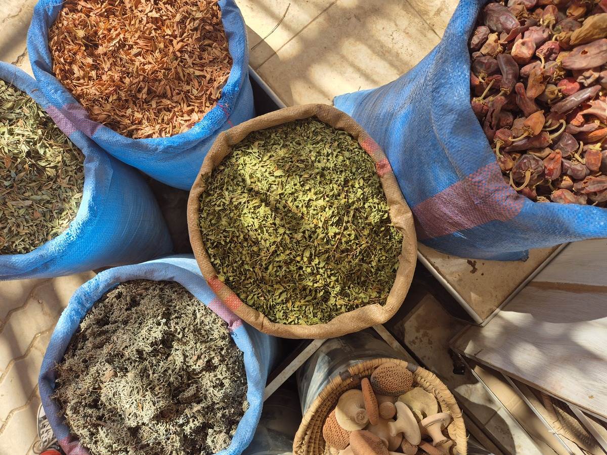 1000049993 - Copy.jpg