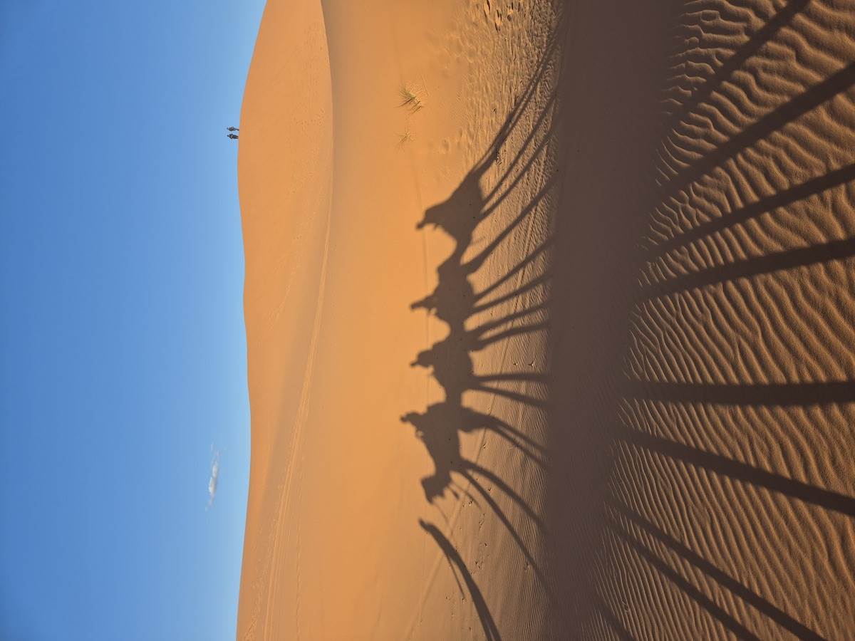 1000050147 - Copy.jpg