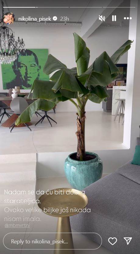 Nikolina Pišek progovorila o problemima u kojima se našla