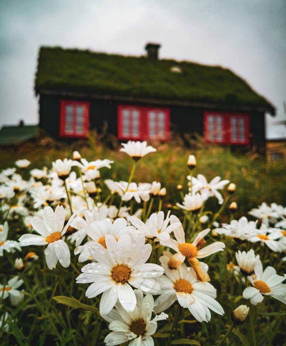 Domagoj Sever je jedan od najboljih travel fotografa na svijetu a otkrio je tajnu svojeg uspjeha