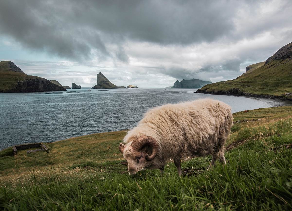 Domagoj Sever je jedan od najboljih travel fotografa na svijetu a otkrio je tajnu svojeg uspjeha