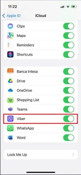 Viber backup Apple 5.jpg