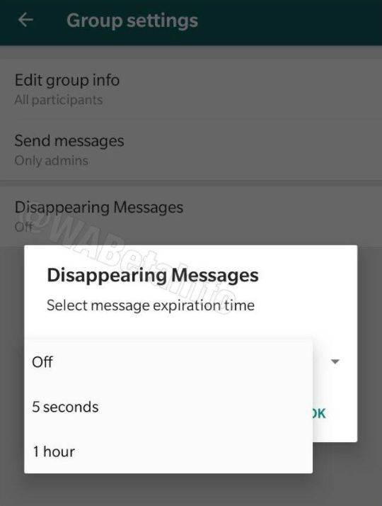 WhatsApp nestajuce poruke 4.jpg