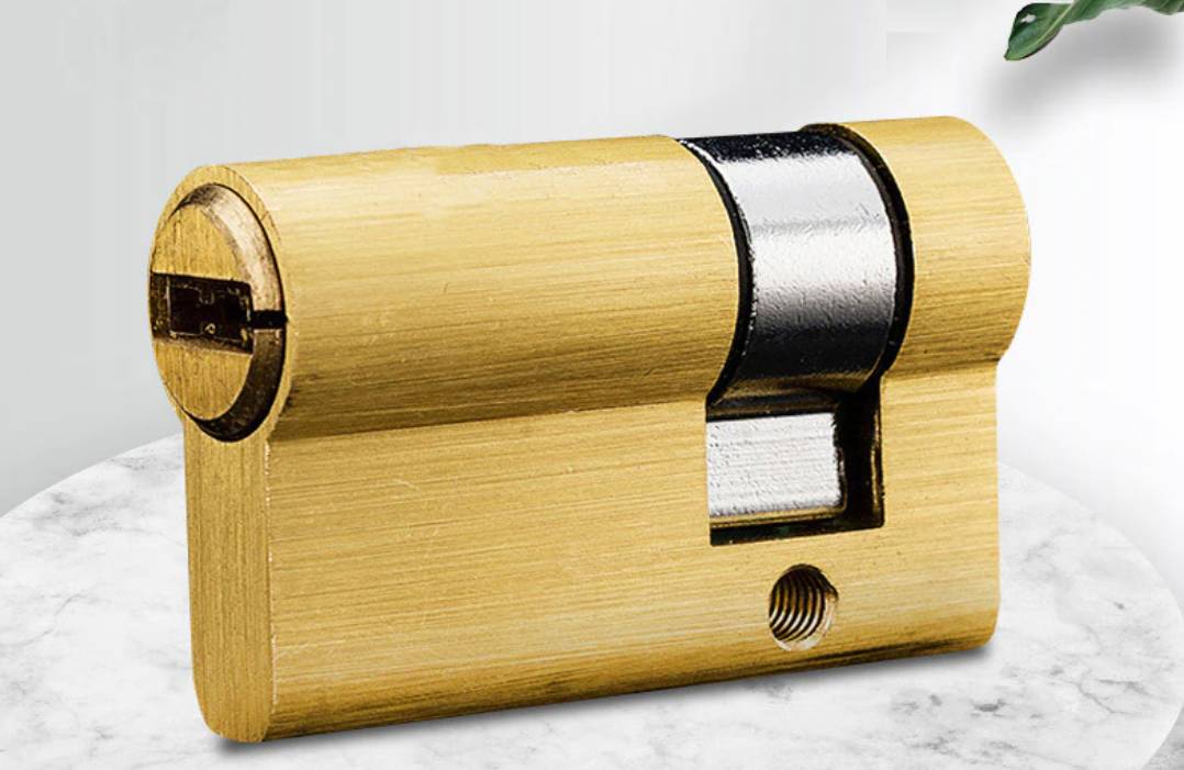 DAME, NE BRINITE Osigurajte dom pomoću umjetne inteligencije